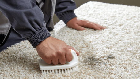 Professional Rug Cleaning Holmesglen